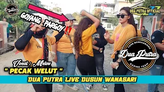 PECAK WELUT - VOC. MELOV  | DUA PUTRA | LIVE DUSUN WANASARI  KEC.SUKAMAJU - SUBANG