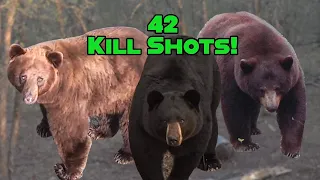 42 Bear Kills in less than 90 Seconds (Best Ever Compilation on YouTube!)