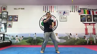 Wing Chun Solo Drills