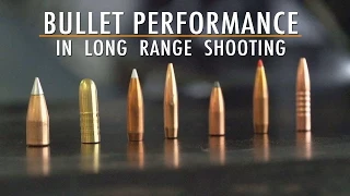 Bullet Performance | In Long Range Shooting