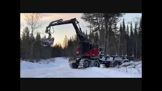 2019 TIMBERPRO TF830D For Sale