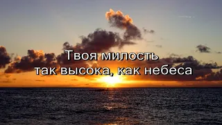 Твоя милость