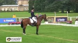 William Fox-Pitt and Parklane Hawk - Blenheim 2010 Dressage