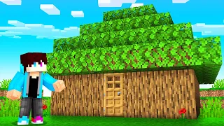 Huis Bouwen Van Bomen (Minecraft)