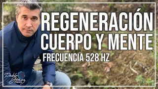 528 Hz. Regeneración cuerpo y mente / Pablo Gómez psiquiatra