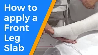 How to apply a Front Leg Slab