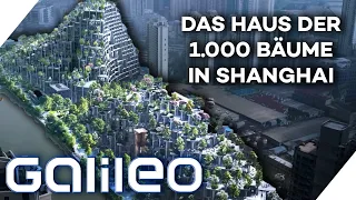 Die grüne Shopping Mall in Shanghai: Das Haus der 1.000 Bäume | Galileo | ProSieben