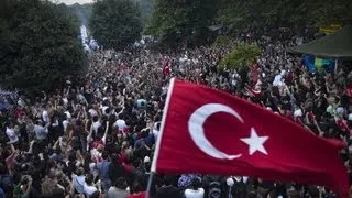 Протесты в Турции: люди требуют отставки премьера (новости)