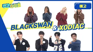 주간아이돌 641회 BLACKSWAN & XODIAC 예고