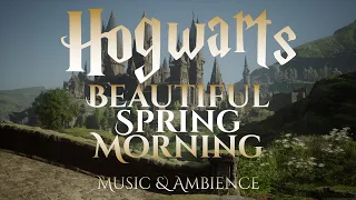 Beautiful Spring Morning on Hogwarts Grounds | Hogwarts Legacy Harry Potter Ambience