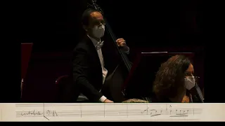 C. Saint-Saëns: L' Elefante [dal Carnevale degli animali - Orchestra del Teatro alla Scala]