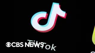 TikTok sues U.S. government: What to know