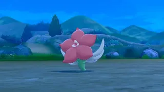 Shiny Gossifleur in Pokémon Sword After About 600 Encounters