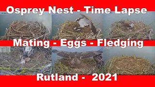 Rutland Osprey's Nest 2021 -Time Lapse