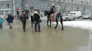 В школу на коне |Новосибирск| Прикол|приколы|школа