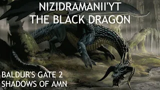 Baldur's Gate 2 - Evil Party x Nizidramanii'yt - The Black Dragon