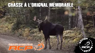 Chasse à l'orignal mémorable