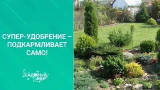 Супер удобрение – подкармливает САМО! Какое лучшее удобрение для растений выбрать.