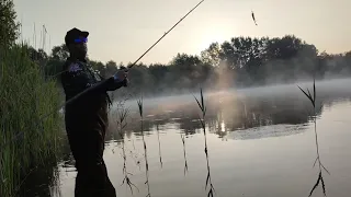 Morgenstund hat Hecht in der Hand (Live Biss) Sportex, Abu Garcia, CL lures