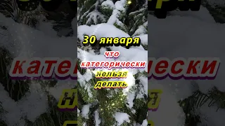 30 января народный праздник Антонов день. Что категорически нельзя делать. Народные приметы