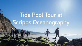 Tide Pool Tour at Scripps Oceanography