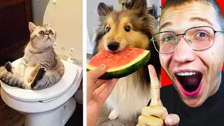 🔴 החיות הכי מצחיקות שיש בעולם!? (סרטוני החיות הכי מצחיקים של שנת 2020! אתגר הנסו לא לצחוק!)