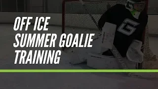 Pro Level Summer Goalie Training Program (2018)