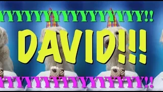 HAPPY BIRTHDAY DAVID! - EPIC Happy Birthday Song