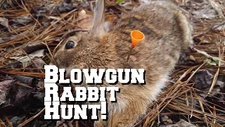 [GRAPHIC] Blowgun Rabbit Hunting cold steel Razor broadhead darts