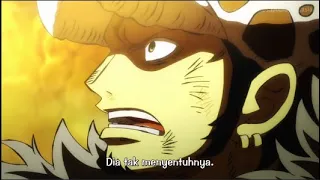 LAW SAMPAI TAKJUB ! Luffy Uppercut Kaido Sampai Pingsan | Review One Piece 1028