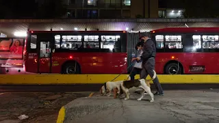 MEXICO CITY NIGHT WALK - Simply beautiful!