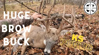 HUGE Brow Tine BUCK at 10 YARDS!!!  Hunting COLD FRONTS in KANSAS