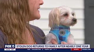 Stolen dog returned to family nearly one year later