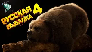Самый Жестокий Облом Медведя !!! Русская Рыбалка 4 ! РР4