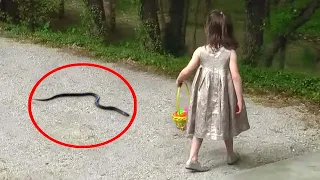 20 Scariest Snake Encounters of The Year