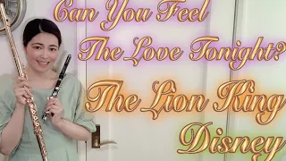 【Disney】Can You Feel The Love Tonight? by The Lion King 1人7役フルートとピッコロで多重録音しました【flute】