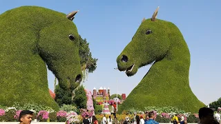 Dubai: Miracle Garden 4K