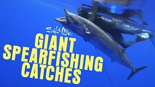 TOP 5 GIANT Spearfishing Catches by the Salt Life Team