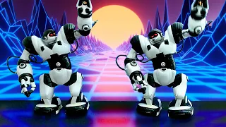 Synchronized ROBOSAPIEN Robot Dancing Masterclass - WowWee Toys