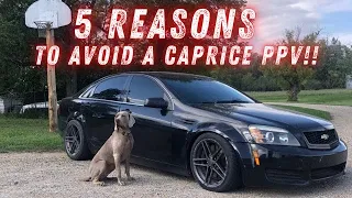 5 Reasons NOT To Buy a Caprice PPV!