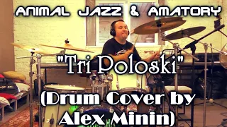 ANIMAL JAZZ & AMATORY - "ТРИ ПОЛОСКИ" (DRUM COVER BY ALEX MININ)