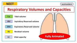 LUNGS CAPACITY AND VOLUMES || RESPIRATORY SYSTEM NCERT || Trick to learn Lung capacity