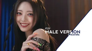 CHESHIRE | ITZY (MALE VERSION)