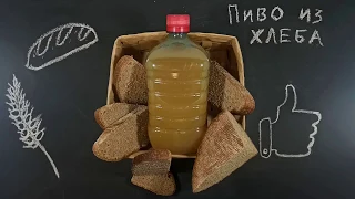 Пиво из хлеба. Простой и вкусный рецепт