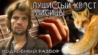 Пушистый хвост лисицы разбор на гитаре - Константин Ступин