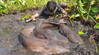 Best Top  Hand Very Lucky Fishing! Found & Catching Many Catfish & Fish When Water Recede