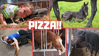 PIZZA!!!🍕 So funny and cute! A few hours old and much more... | Friesian Horses