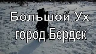 Центральный парк города Бердск. Большой Ух. Прогулка по городу Бердску.