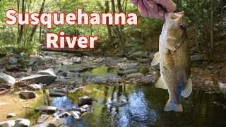 Susquehanna River Fishing (4 Different Species)
