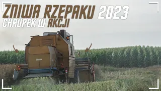 🇵🇱Żniwa 2023 🌾Bizon,Case,Auto Tech 🔥 Koszenie rzepaku 🔴 Kur** stał i się zepsuł